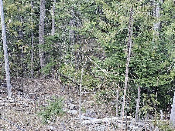 3rd image of Nka Alder Way