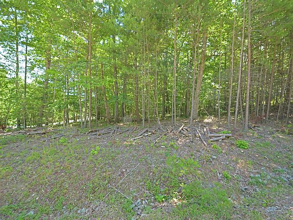 3rd image of 10 Forman Ct Lot 44
