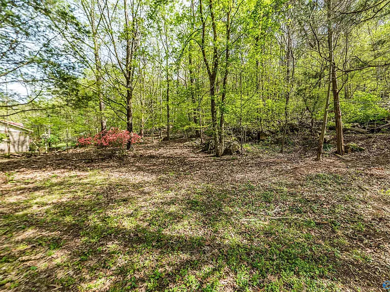 8013 Tea Garden Rd SE — Photo 43