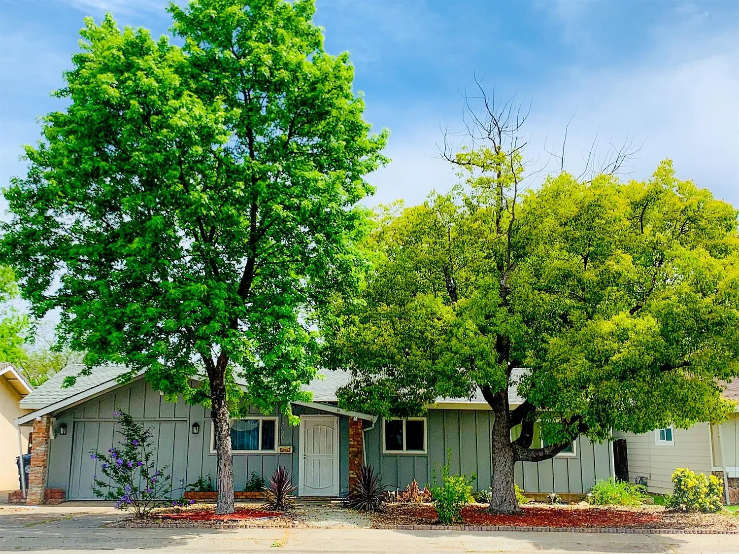 8020 Lichen Dr photo 1