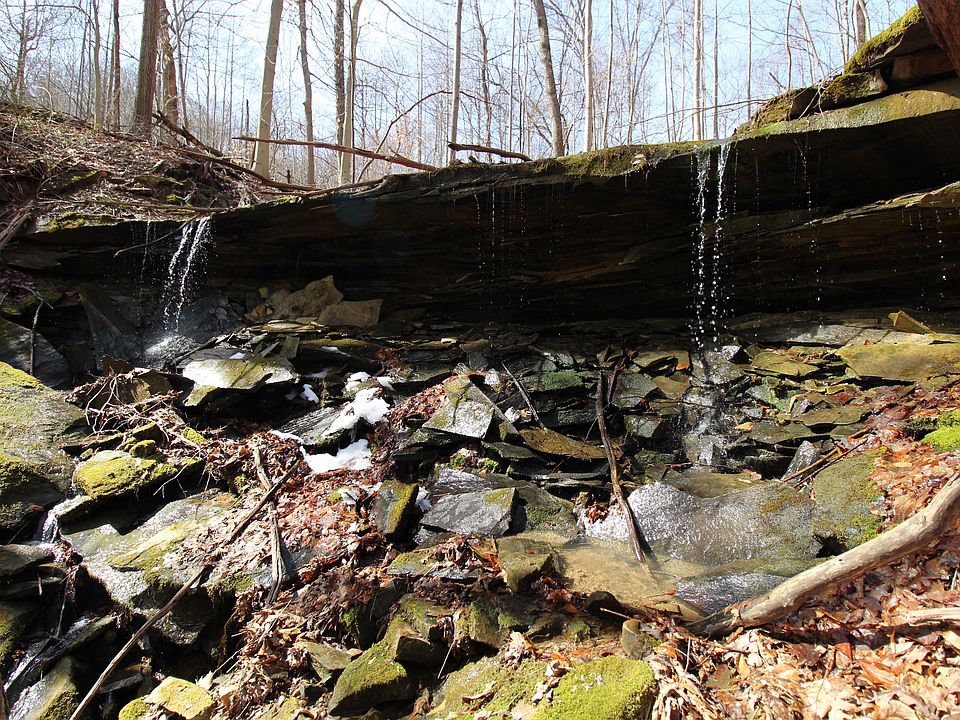 1st image of 206 Thelma Ln Lot Wp001