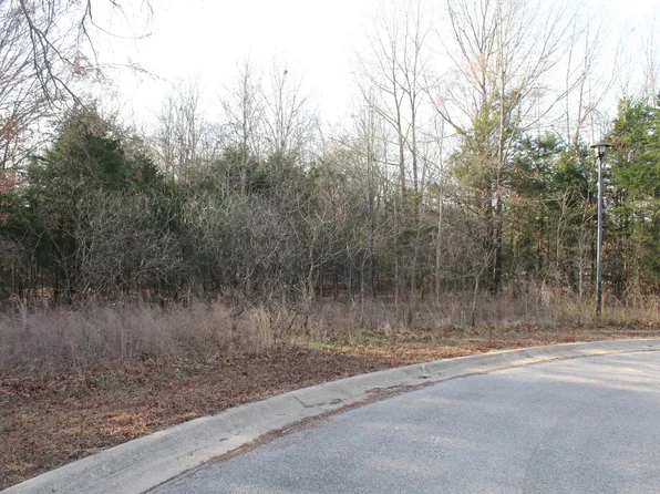 761-00014-000 Falltime Dr, Bull Shoals, AR 72619