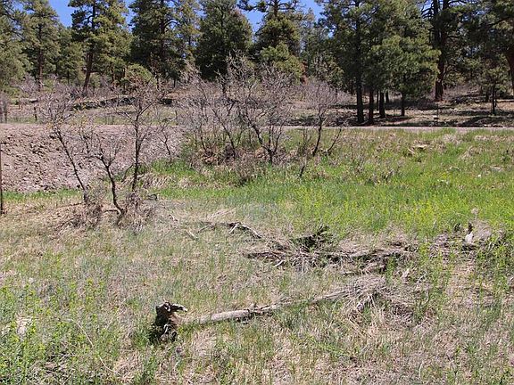 4th image of 2090 County Road 600