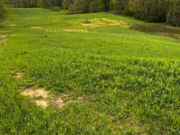 LOT 3 Walnut Mountain Rd, Roan Mountain, TN 37687