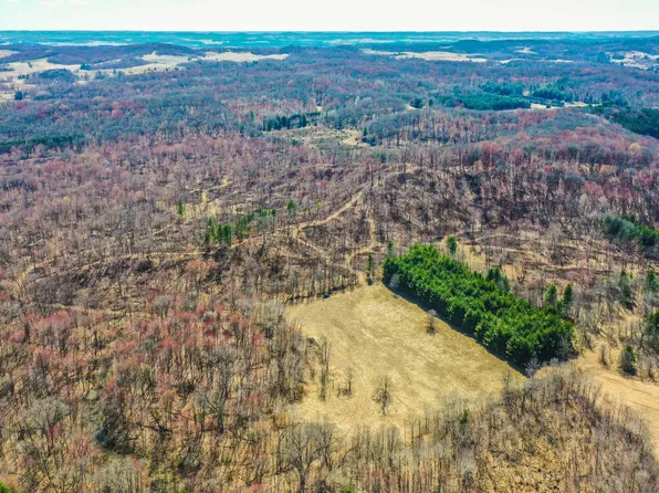 Lowes Creek Rd, Eleva, WI 54738