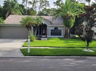 12839 Royal George Ave, Odessa, FL 33556