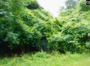 Fringetree Rd, Saint Matthews, SC 29135