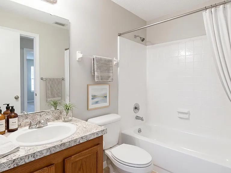 4711 Cinnamon Fern Dr — Photo 8