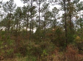 123 McIntosh Trl, Crescent, GA 31305