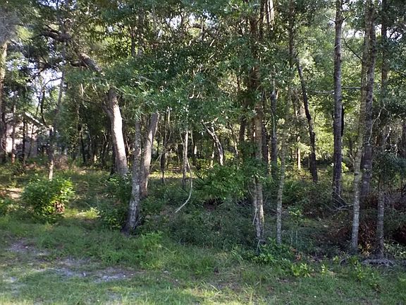 1 NW 70th Cir, Chiefland, FL 32626 | MLS #786733 | Zillow