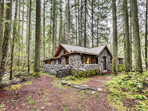 75402 E Zig Zag Mountain Rd, Rhododendron, OR 97049