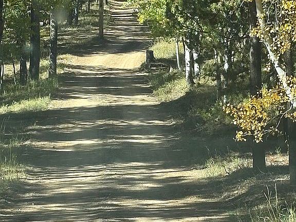 2nd image of 0 Manly Rd