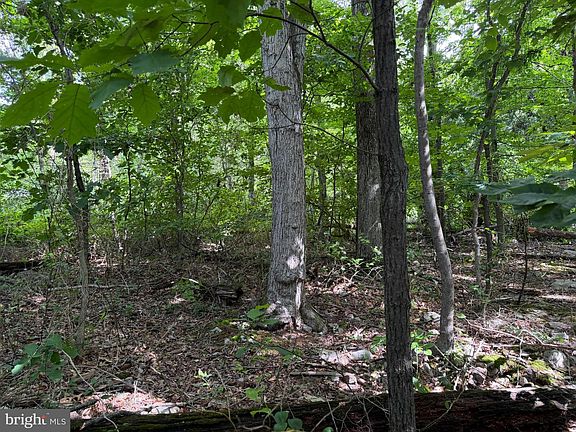 5th image of TRACT 2 59/ Acres Circle Dr