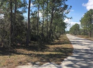 1166 Cockatoo Ave, Lake Placid, FL 33852
