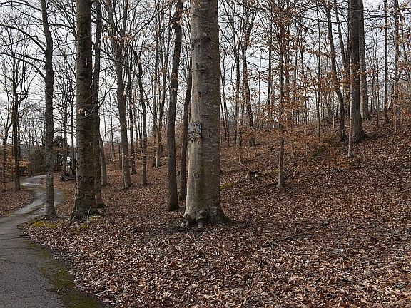 4th image of 6703 Wolf River Dock Rd