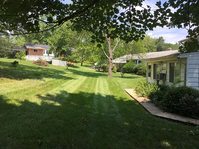 backyard in the summer