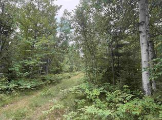 Paint River Rd, Crystal falls, MI 49920