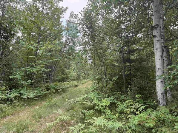 Paint River Rd, Crystal Falls, MI 49920