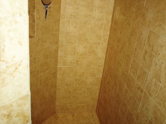 Walk-in shower