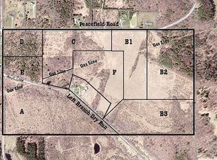 Left Branch Dry Run Rd, Pine city, NY 14871