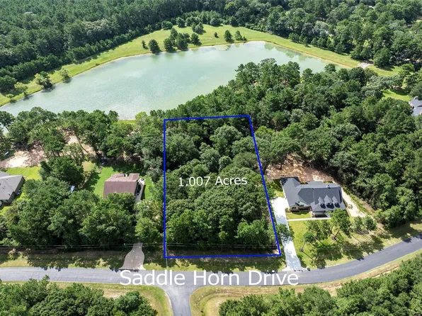 27140 Saddle Horn Dr, Waller, TX 77484