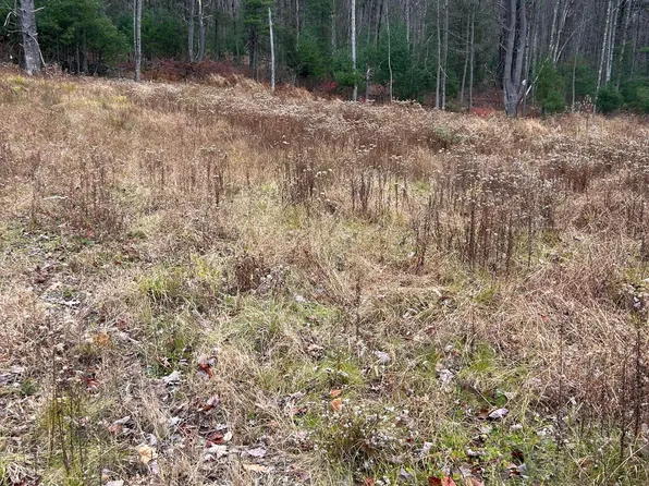 1585 MOUNTAIN ROAD, Montoursville, PA 17754