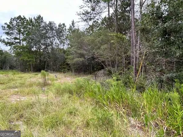6541 State Highway 147, Reidsville, GA 30453