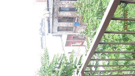 Rented by The Hamilton Group