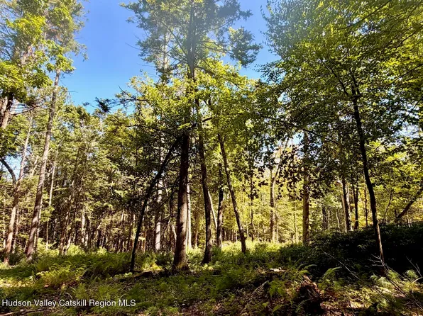 Lot 8 Brandy Brook Road, Napanoch, NY 12458