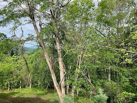 Lovely Mountain Views