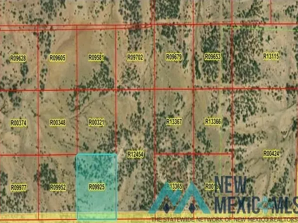 50 La Tinaja Trl, Pinehill, NM 87357