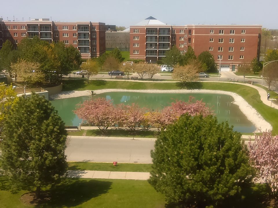 1st image of 6441 W Warner Ave APT 514
