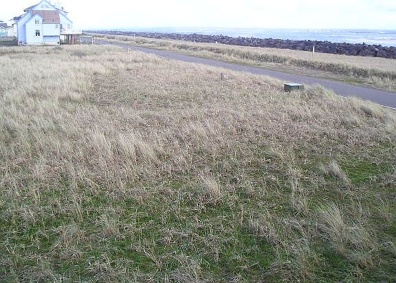 5th image of 1539 E Ocean Shores Blvd SW