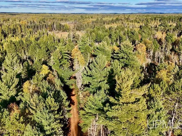 Tbd34 Willett Ln, Republic, MI 49879