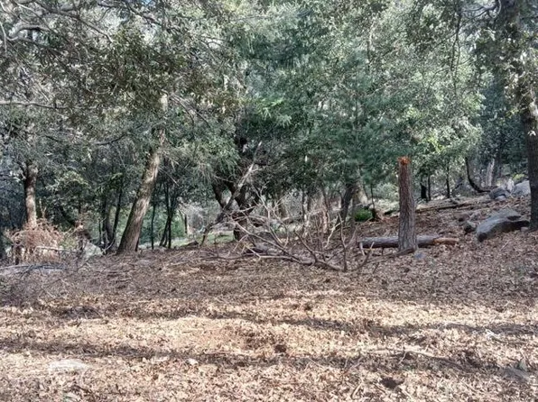 0 Alder Creek Rd, Cedarpines Park, CA 92322