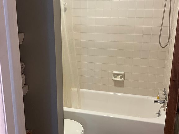 Bathroom view with toilet and shower and bathtub