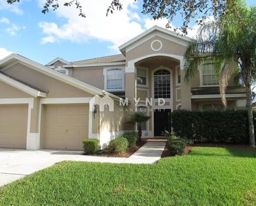 18113 Diamond Cove Ct, Tampa, FL, 33647