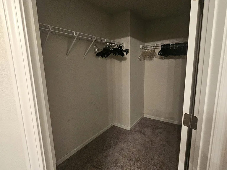 151 Cool Breeze Dr — Photo 16