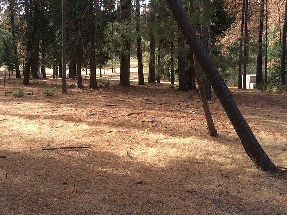 4th image of Sugar Pine Dr #003-030-01