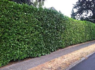 6503 29th Ave NE, Seattle, WA 98115