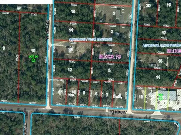 SE 30TH STREET LOT 10, MORRISTON, FL 32668