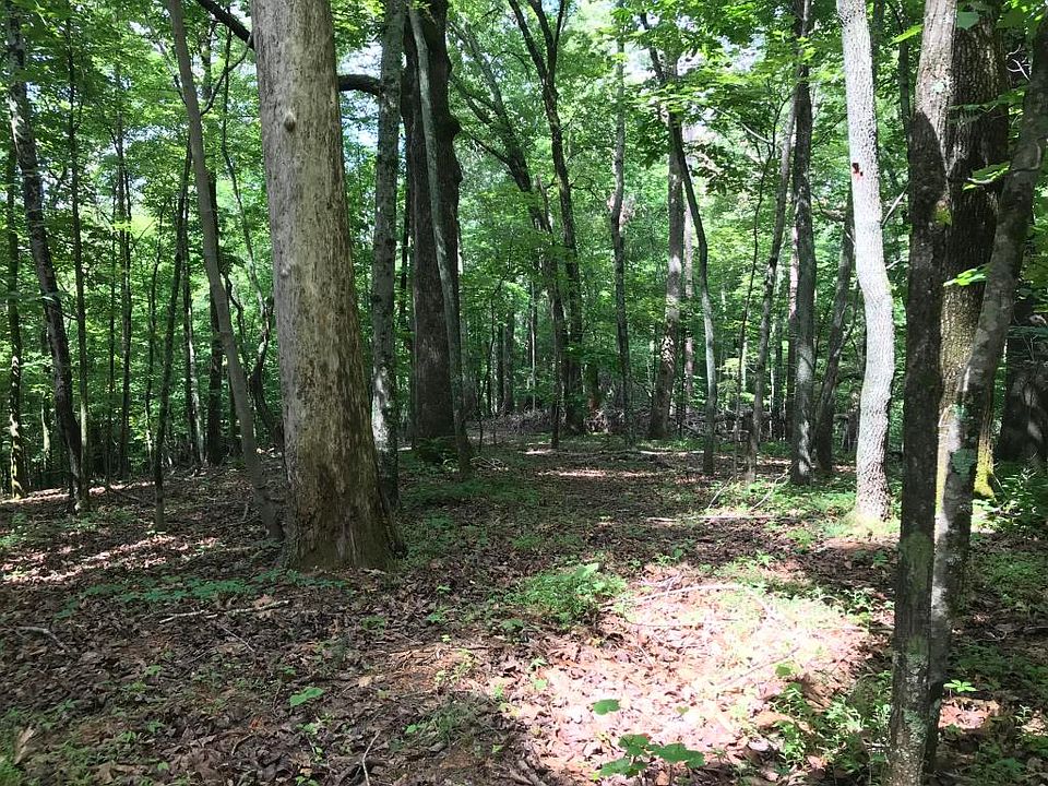 2nd image of 1823 Schriver Rd Lot 2