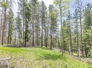 LOT-12X Indian Springs Rd, Conifer, CO 80433