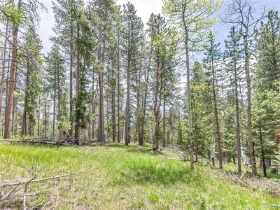 Lot 12X Indian Springs Rd, Conifer, CO, 80433