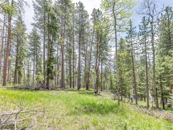 Lot 12X Indian Springs Rd, Conifer, CO 80433