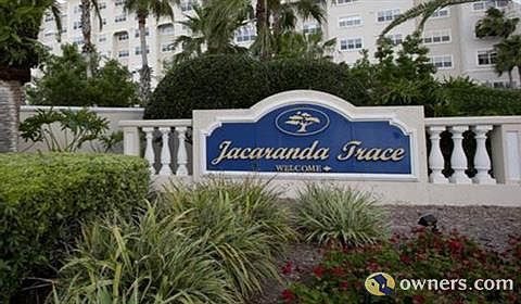 Jacaranda Trace Entry