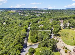 315 Woodland Ct, Branson, MO 65616