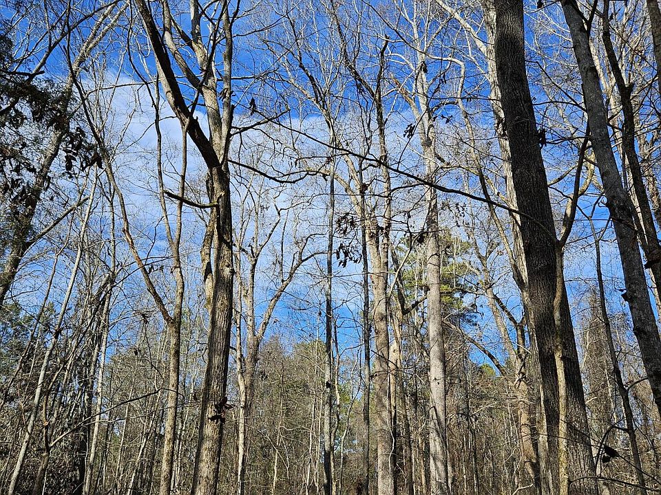 1st image of LOT 4 Elberton Hwy #36-018I