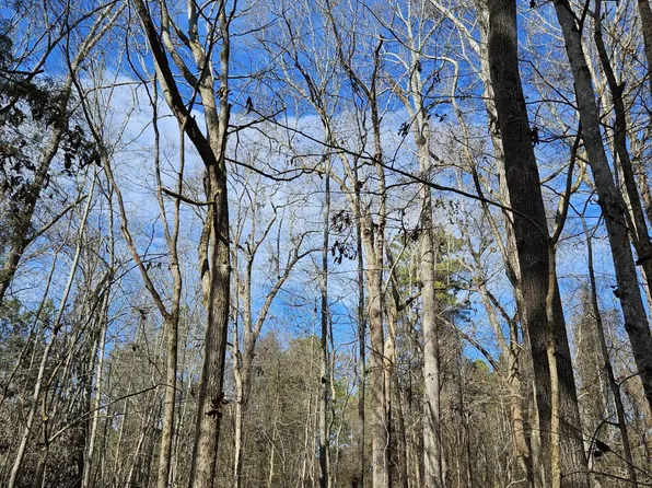 LOT 4 Elberton Highway, Lincolnton, GA