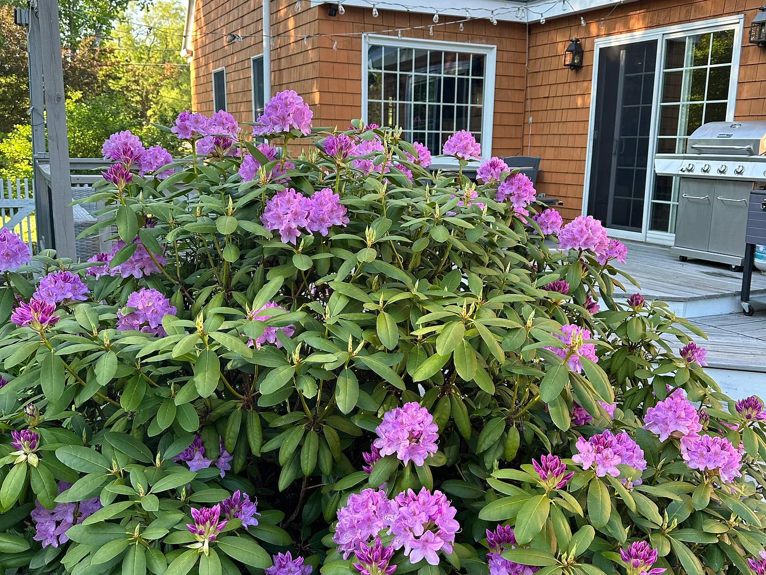 398 Falmouth Rd — Photo 2